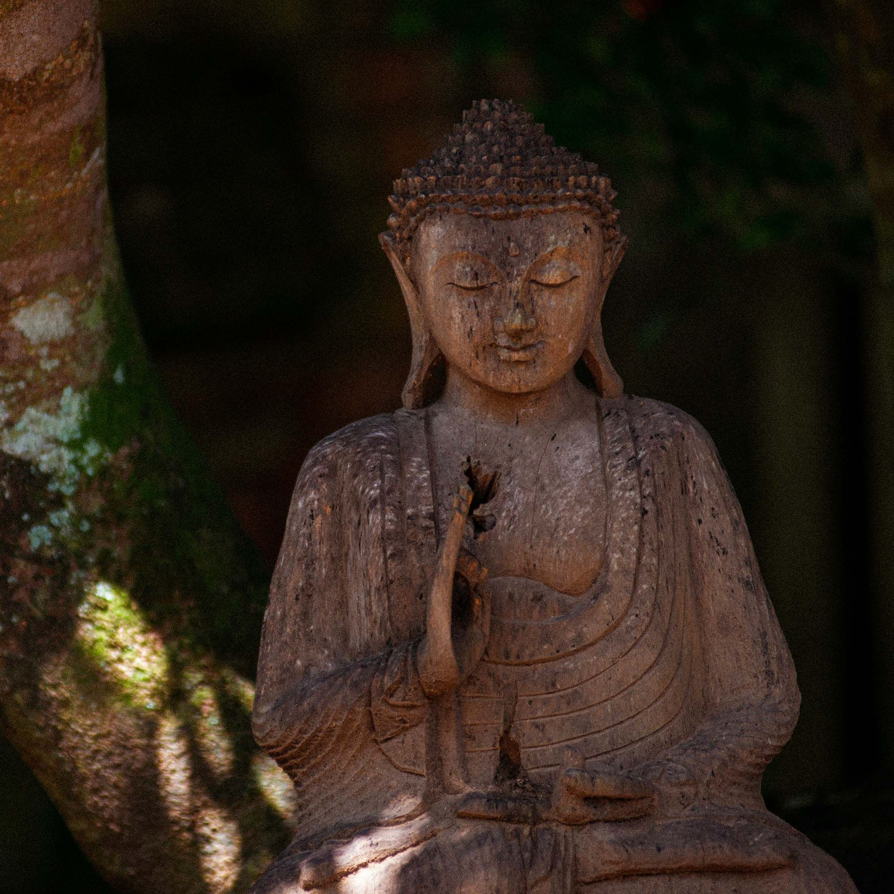 Associazione Kalyanamitta: Meditazione, Mindfulness, Buddhismo