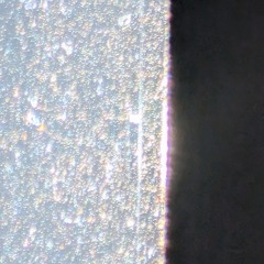 excitement amid curious meandering