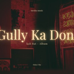 Gully Ka Don - Hiden Vibe  Kali Rat Album  Mesha Music   Mady Vai  Hindi New Rap Song.FLAC