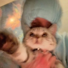 SMEKTIC DUBZ (un hora de) [Hectic vs. Smaxx]