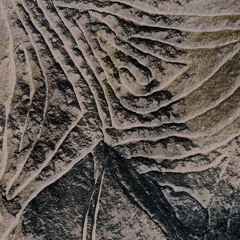 A Swarm Of Butterflies Encountered On  w/ Planatia (23/05/25)