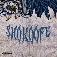 Shokoofe (ft. Mcip)