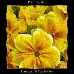 Primrose Dub - Llanpsych & tea are sea