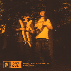 WHAT U GOT (BGZ REWORK)