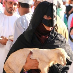 سيل السنه وسناسيل(MP3_160K).mp3