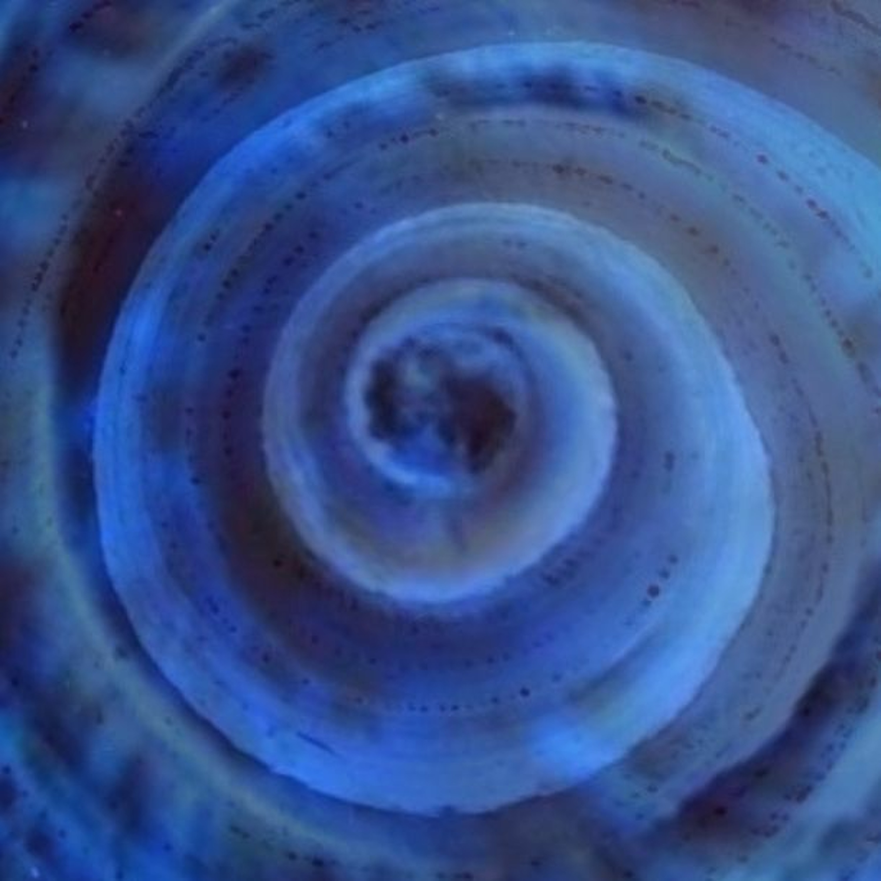 Inner Wave episode artwork