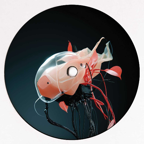 B2_Sascha Dive - Brother's Yard (YokoO Dub Mix)