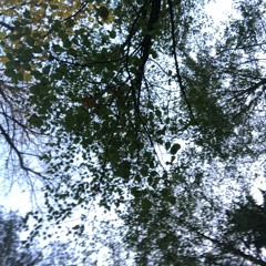 Coals - Weightless (Anwius Bootleg)