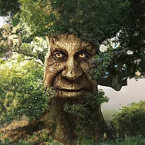 Wise Mystical Tree (music) 