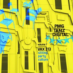 PREMIERE: VAX 313 - Sitting Party Culture (Andreja Salpe Remix)