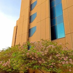 سورة القلم شيخ محمد عثمان على الحاج