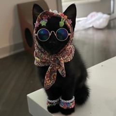 ⛓️ verzerrte realität 🗡️