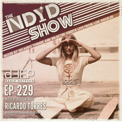 The NDYD Radio Show EP229