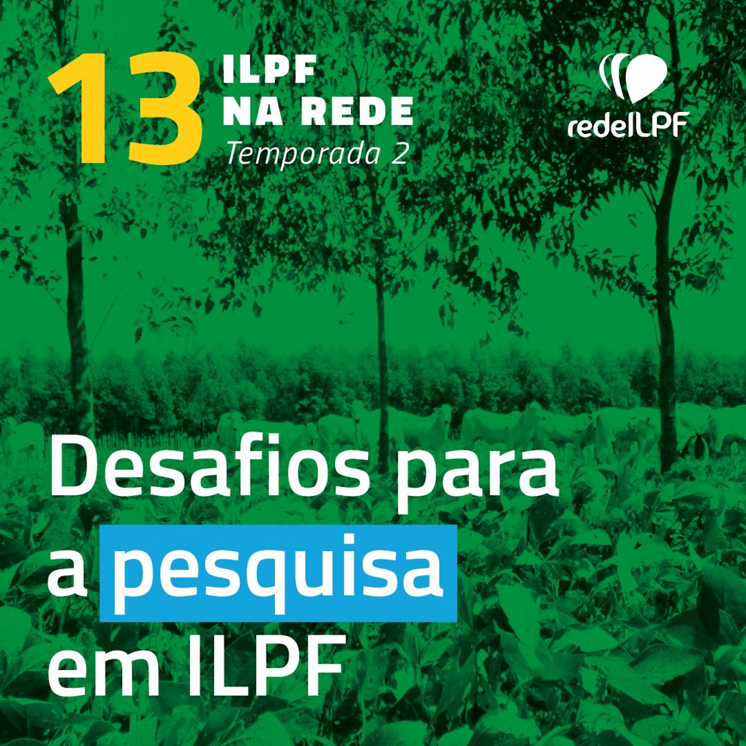 ILPF Na Rede
