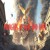 Artwork for Mongers of War and Hate (Sung Version)_MH MST_1644_QMEU32509594