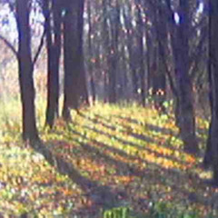 #впещере (blickyhomeboy)