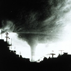 Zombo in Your Brain 2/14/2025