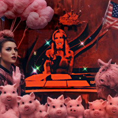 Existential Cat Memes (N-Strum-Mental) -  Stereolithica 704