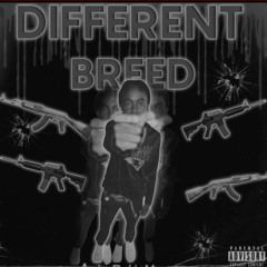 Dead ft baby8,babytwin,6ix