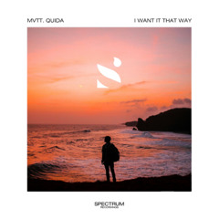 MVTT, Quida - I Want It That Way