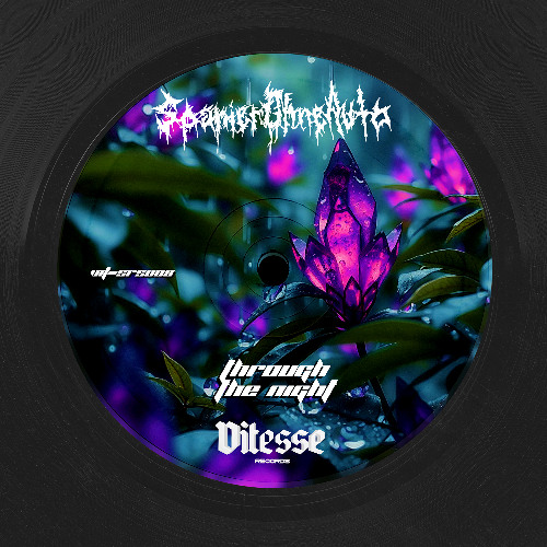 FREEDL - SpanierMitAuto - Through The Night (VIT-SRS008)
