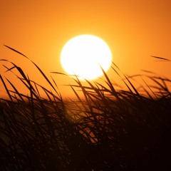 Train Station Vol.17 mixed by Aidar (live)