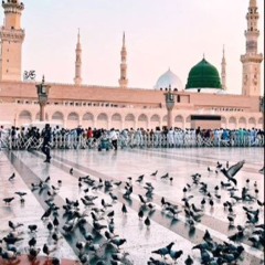 Sabne Saf-e-Mehshar Me Lalkar Diya Humko, Aye Bekaso Ke Aaqa Ab Teri Duhaai Hai
