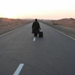 انسيني