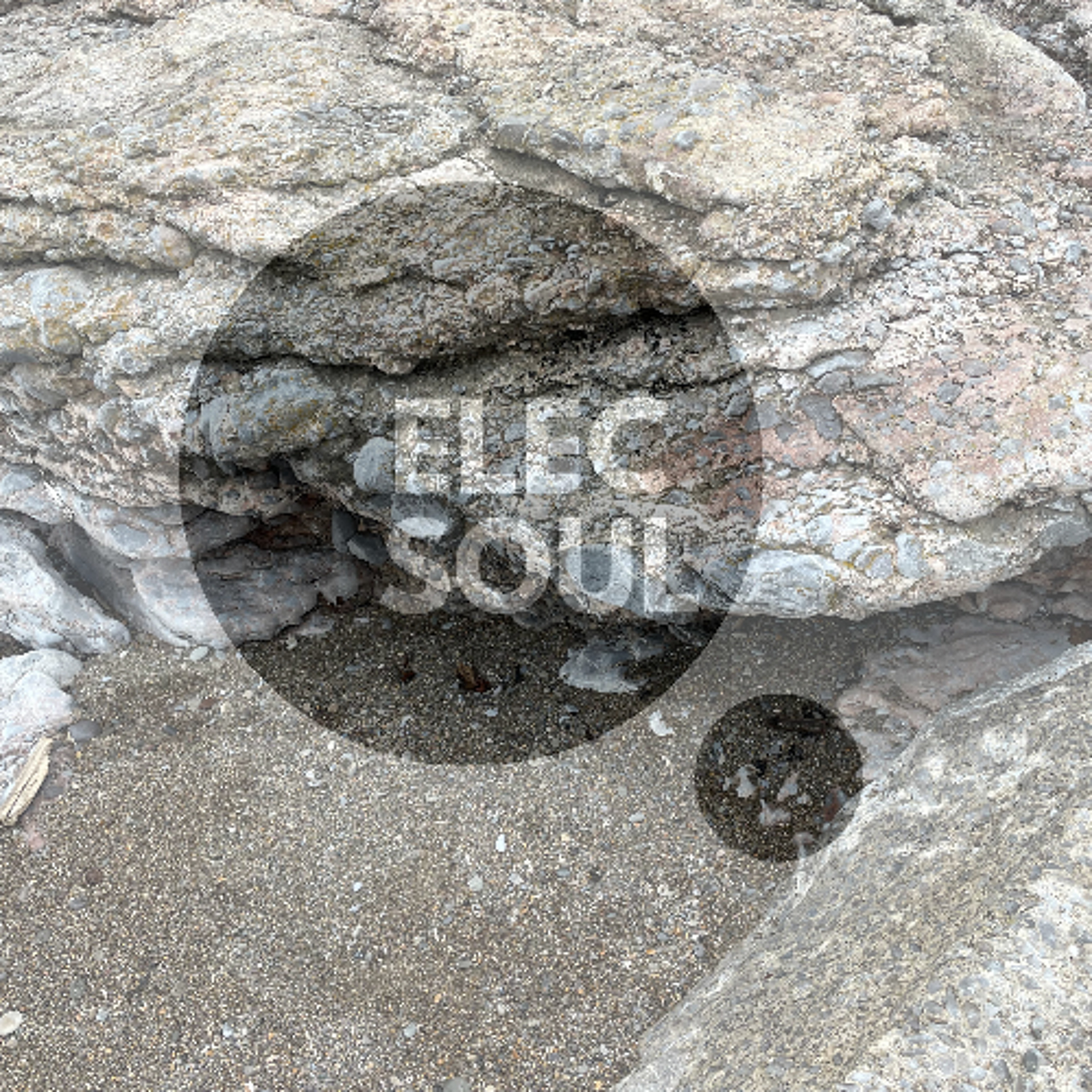 ElecSoul