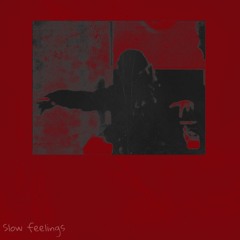 Slow Feelings