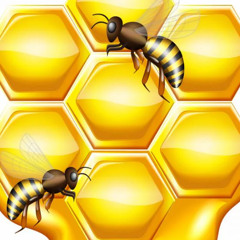HoneyFest 2025