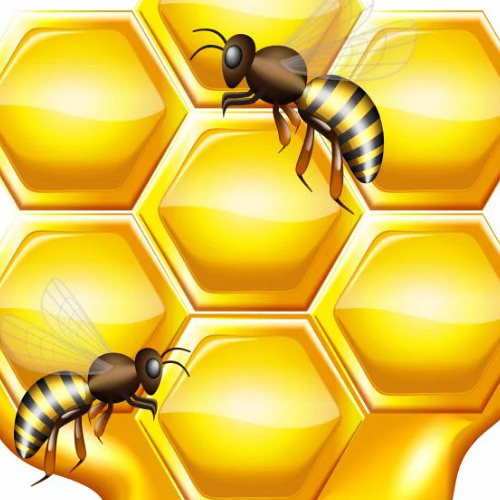 HoneyFest 2025