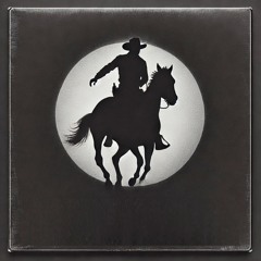 How Far Will We Take It? | Noah Cyrus & Orville Peck Cover