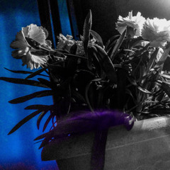 Halil Sezai -Ağlamışız (Cover)