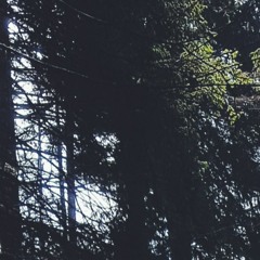 Dan Sociu & Stefan Baghiu - Sonet