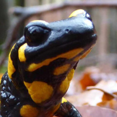 InderTekk - Mülsenalarm