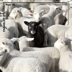 Voice Note For 20241021 - The Lost Sheep - Parables Of Christ - Part 18