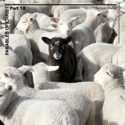 Voice Note For 20241021 - The Lost Sheep - Parables Of Christ - Part 18
