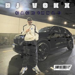 PRA QUE FALAR MAL DA MACUMBA SE EU TO COMENDO ESSA MACUMBEIRA BOA NOITE MEU POVO [DJ VOKX CACHORRÃO]