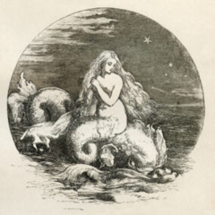 Oceans from above / Strings Of The Sirens