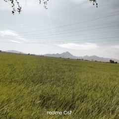 bạn tình ơi remix2