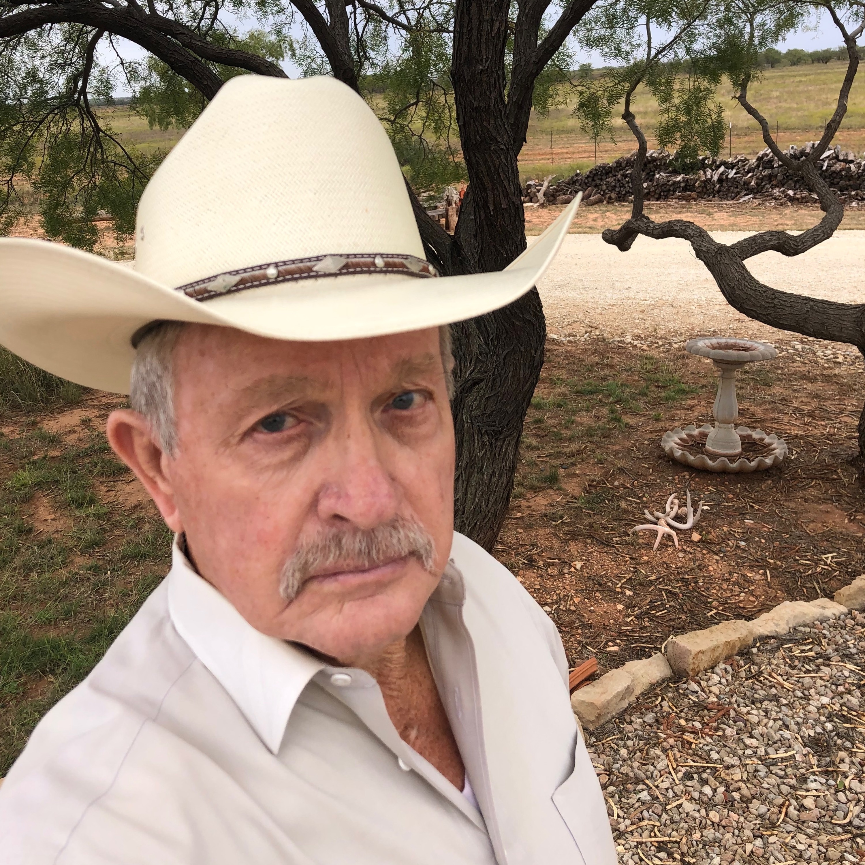 Dr. Dale on Quail