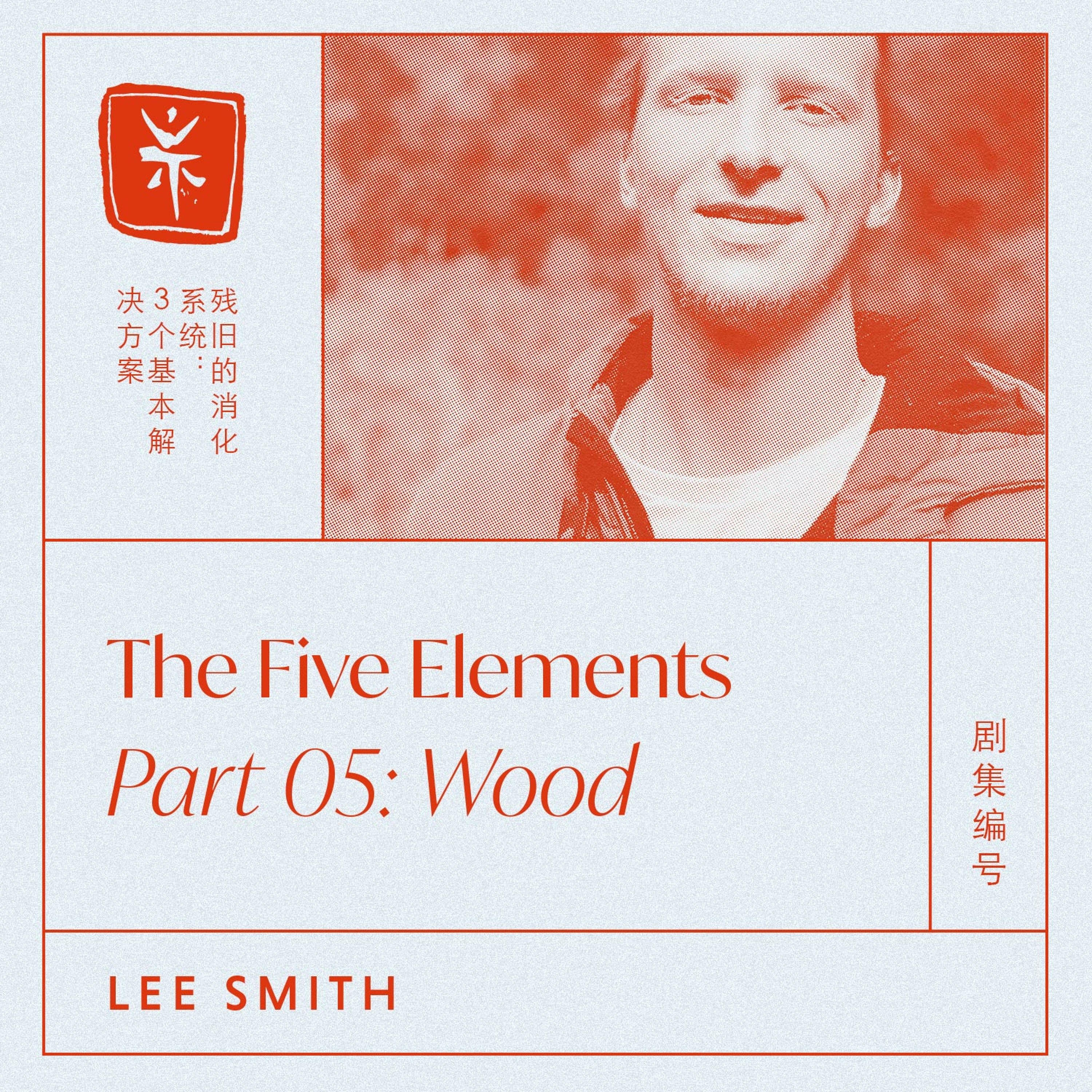 12: The Five Elements Part 05: Wood, with TCM Dr. Lee Smith episode artwork