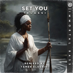 Set You Ft. Telassi