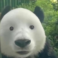 ^o^