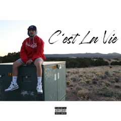 C'est La Vie(Prod. Jkeyz)