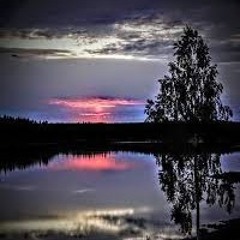 Purple twilight