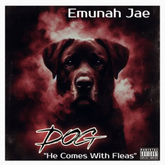 Dog, He Comes With Fleas (Inspired By  Emunah Jae)