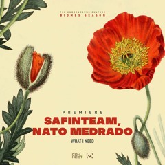 PREMIERE: Safinteam, Nato Medrado - What I Need (Extended Mix) [Medrado Music]