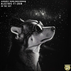 In The Sky (feat. Erin)